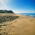 Paraíso Novo *