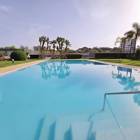 Paraiso Novo Картейра