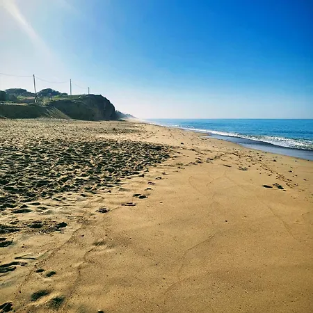 Paraiso Novo *