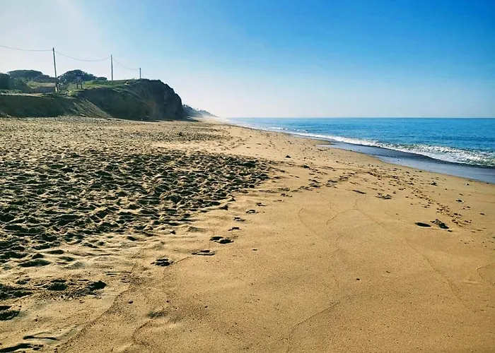 Paraiso Novo *
